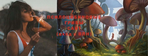 молекула духа Ладушкин