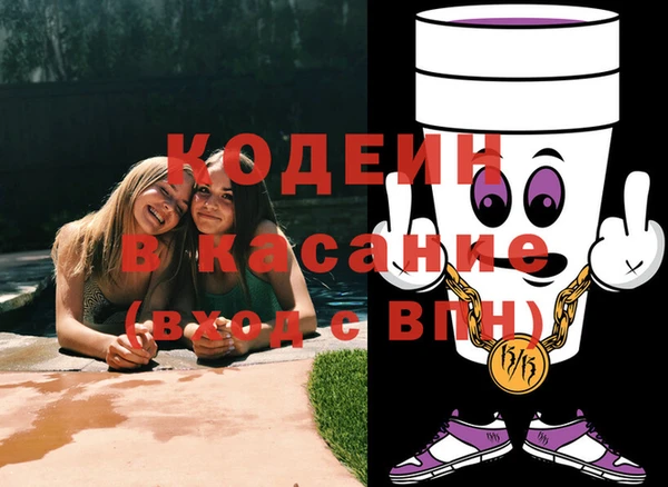 молекула духа Ладушкин