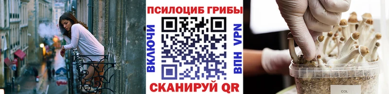 Галлюциногенные грибы ЛСД  Купить  Лосино-Петровский 