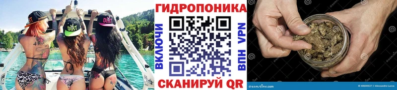 Купить где  Лосино-Петровский  Конопля AK-47 